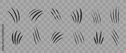 Cat scratch. Realistic set of animal claw marks isolated on transparent background. Black marks of cats tiger lion or wild animals. Flat vector illustration.