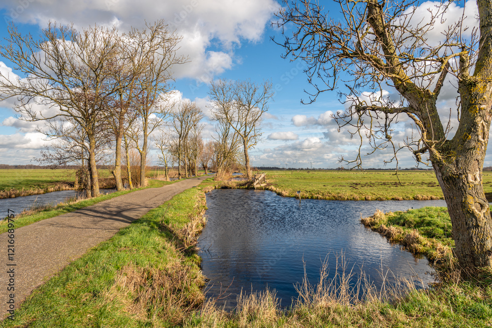 Picturesque Dutch polder landscape with a country road, ditches and bare trees. The photo was taken on a sunny day in the winter season with white clouds in the blue sky.