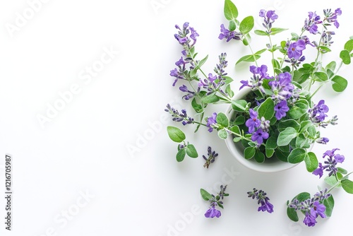 Wallpaper Mural Elegant Purple Flower in Staffordshire Vase, Sage Green, Home Decor, Floral Still Life Photography   Torontodigital.ca