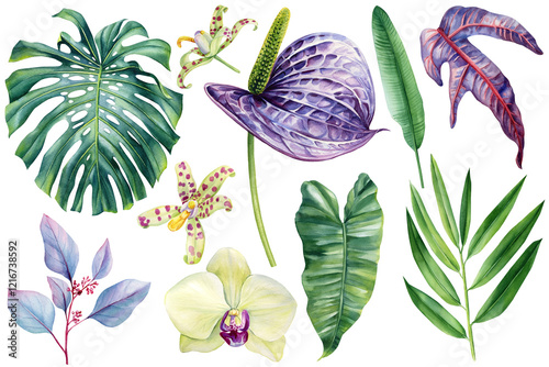 Tropical watercolor exotic flowers hand painted botanical clipart orchid, monstera, bamboo, eucalyptus and anthurium