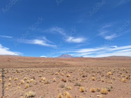 Désert d'Atacama