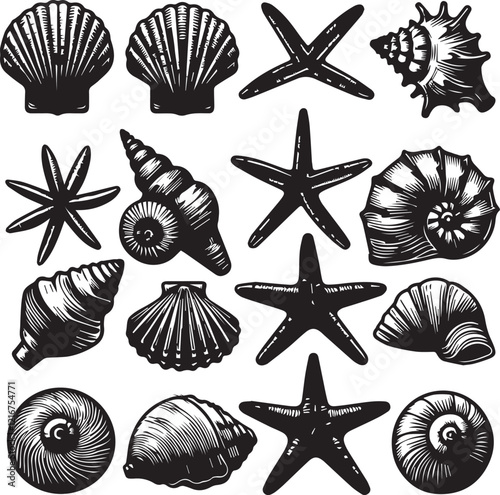 Set of different shape sea shells and starfish, silhouette vector illustration.