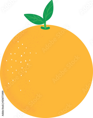 Orange with leaves on a white background, bright and stylish citrus