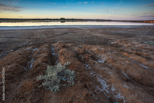 Semi desert environment landcape, La Pampa province, Patagonia, Argentina. photo