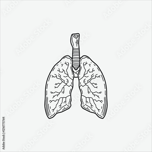 lungs handmade illustration artwork