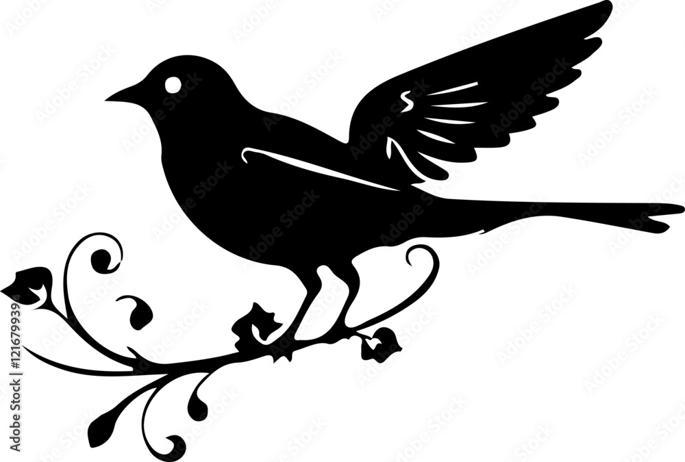 Fototapeta premium silhouette of a dove
