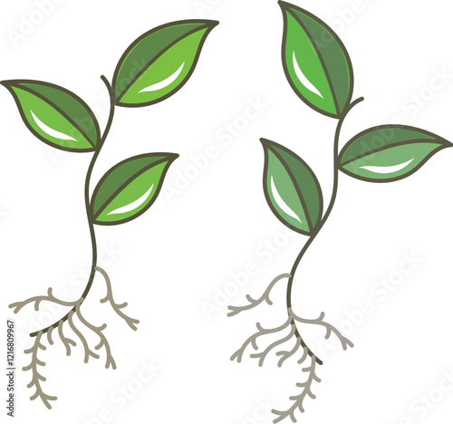 根のついた植物のイラスト