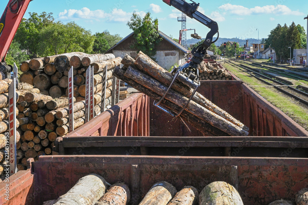 Heavy machinery loads logs onto train cars at a railway yard, depicting the industrial process and logistical complexities involved in transporting raw materials