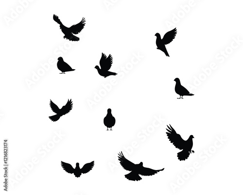 Black pigeon flying silhouette
