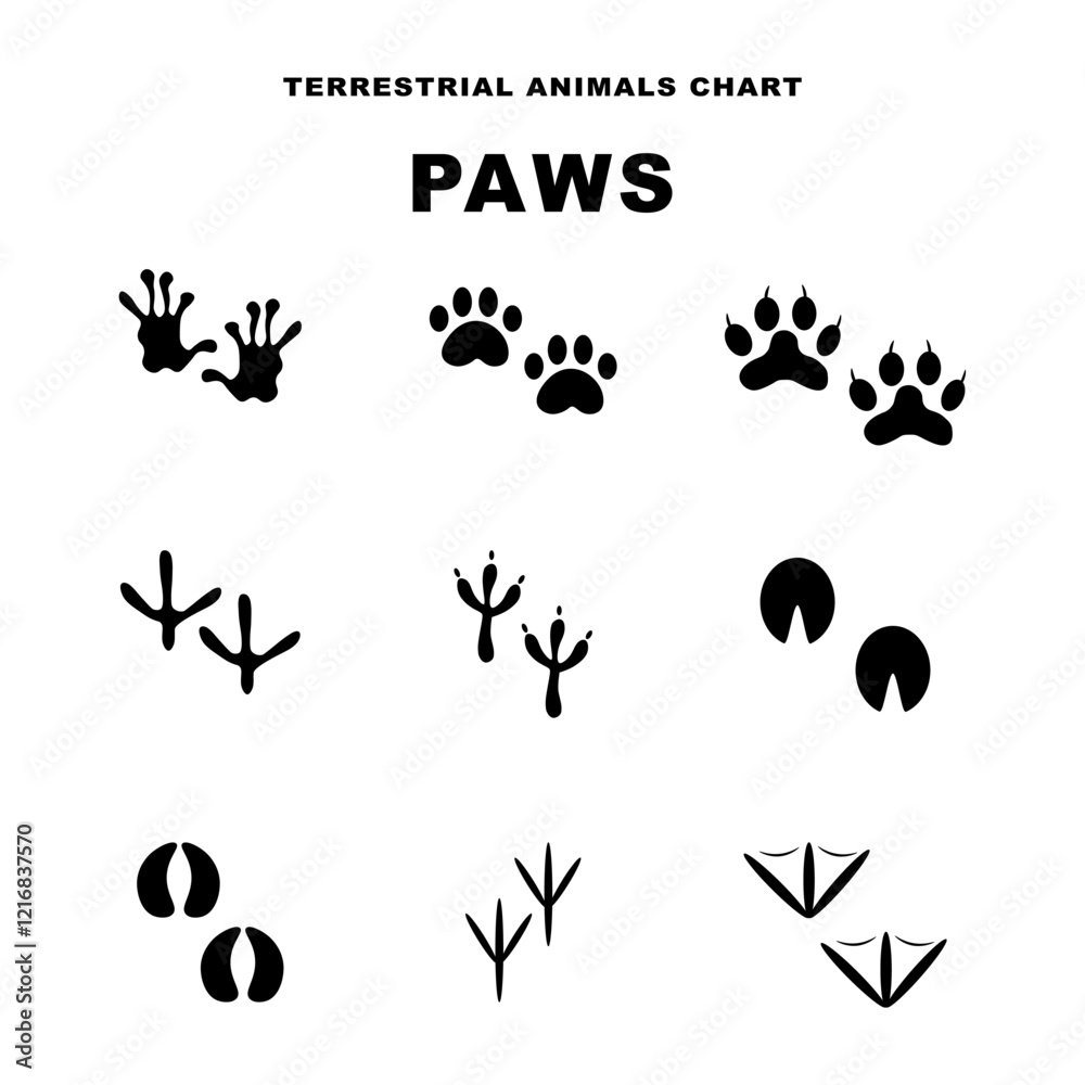 Tracks set of animal icons. Vector illustration Tracks set of animal icons. Vector illustration