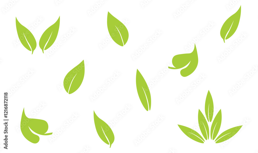 leafs set vector illustration leafs set vector illustration