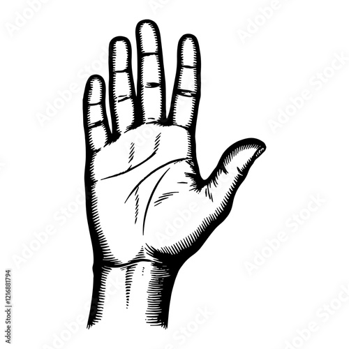 High Five Hand Gesture Detailed Black and White Outline Line Art Drawing
