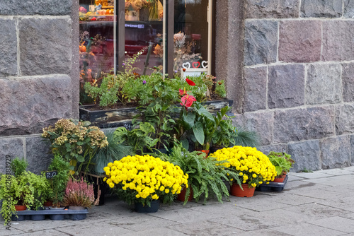 
a corner of a stone house with a large shop window, below and in front of which are pots of various flowers and plants.