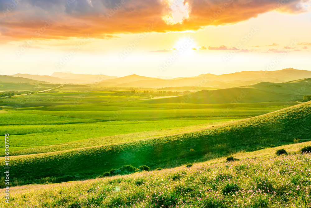 Obraz premium Scenic view at beautiful spring sunset in a green shiny field with green grass and golden sun rays, beautiful cloudy sky on a background