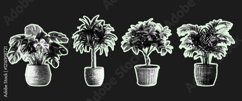 Collage houseplant with a grunge semitone effect. Floral clippings from magazines, Dracaena, Monstera, Ficus. Vector.