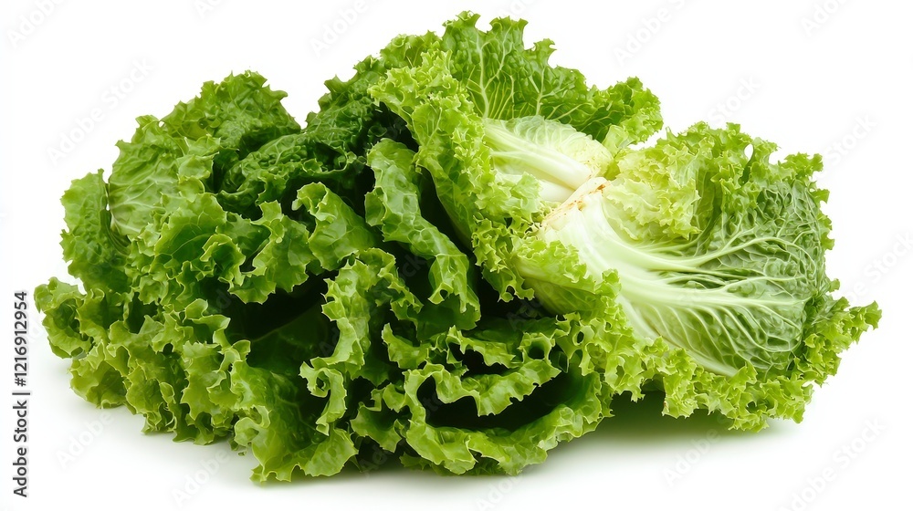 Fresh Green Lettuce Head on White Background for Healthy Eating Fresh Green Lettuce Head on White Background for Healthy Eating