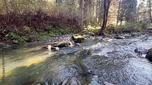 The rays of the rising sun illuminate the bed of a mountain stream through the trees on an early autumn morning. photo