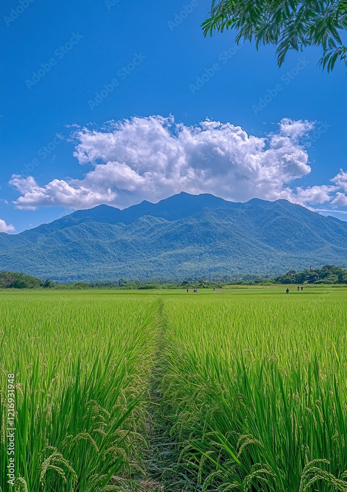 Fototapeta premium beautiful view of grassy mountain with blue sky in the background, there is an abandoned trail on top of it and some people walking around. 