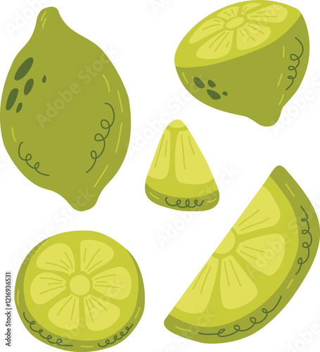 Variety of Hand-Drawn Lime Illustrations
