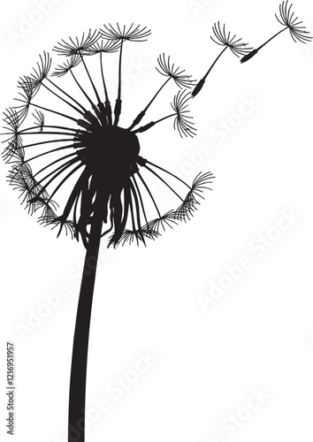 Dandelion 20250124