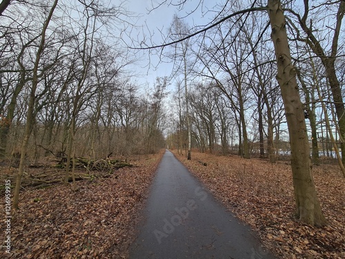 Plänterwald Forest in Winter In Berlin photo