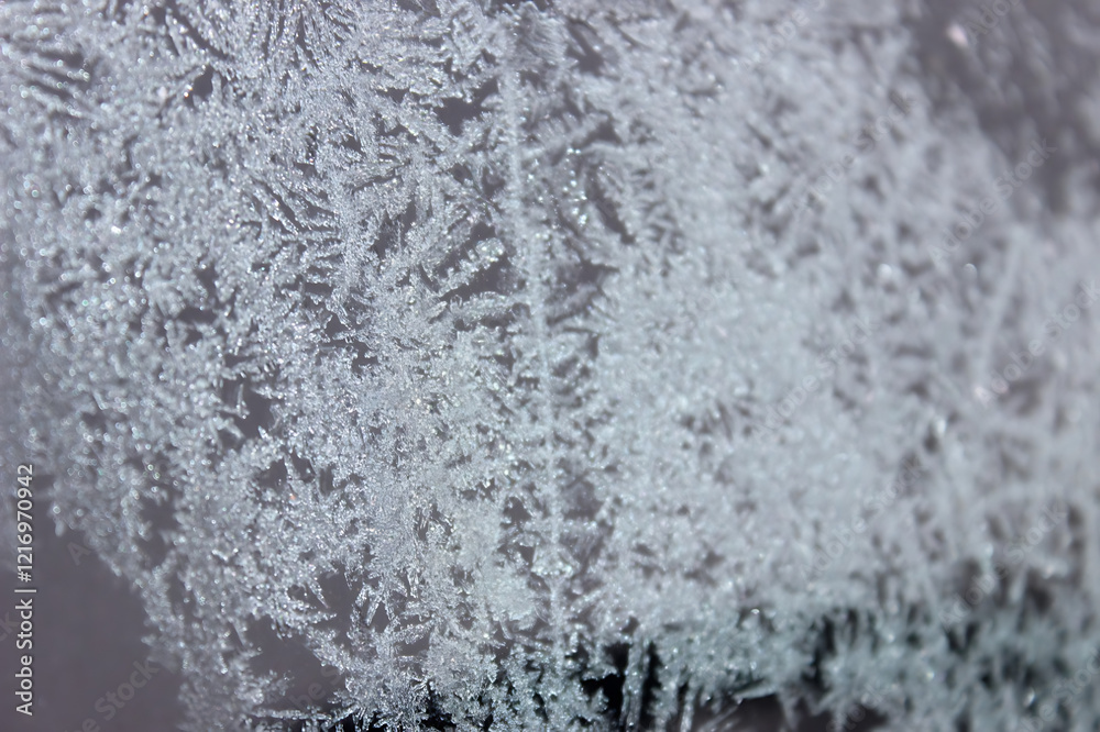 Fototapeta premium The photo captures delicate and intricate snowflakes, each uniquely crafted with its geometric patterns. They gently settle on a pristine blanket of soft snow, evoking a sense of fragility and purity.