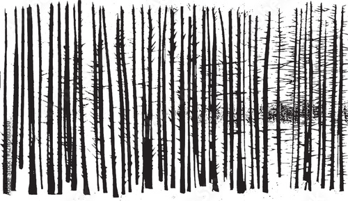 Monochrome Forest, A dense stand of silhouetted trees, varying in height and density, against a stark white backdrop, conveying a sense of depth and somber wilderness,
