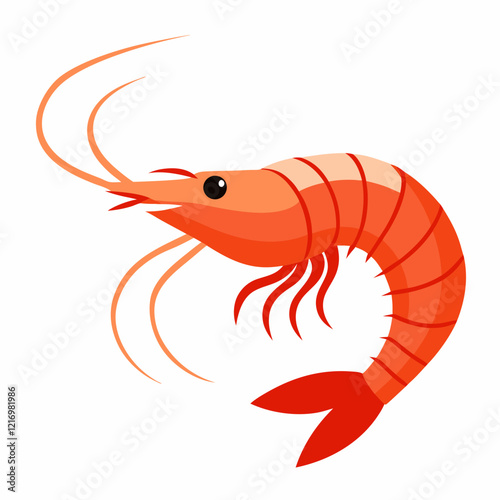 Shrimp