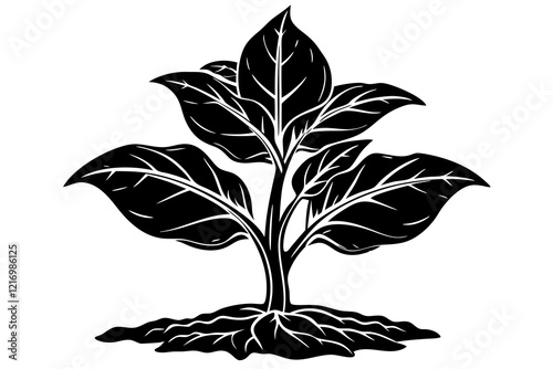 tobacco seedling silhouette vector