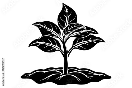 tobacco seedling silhouette vector