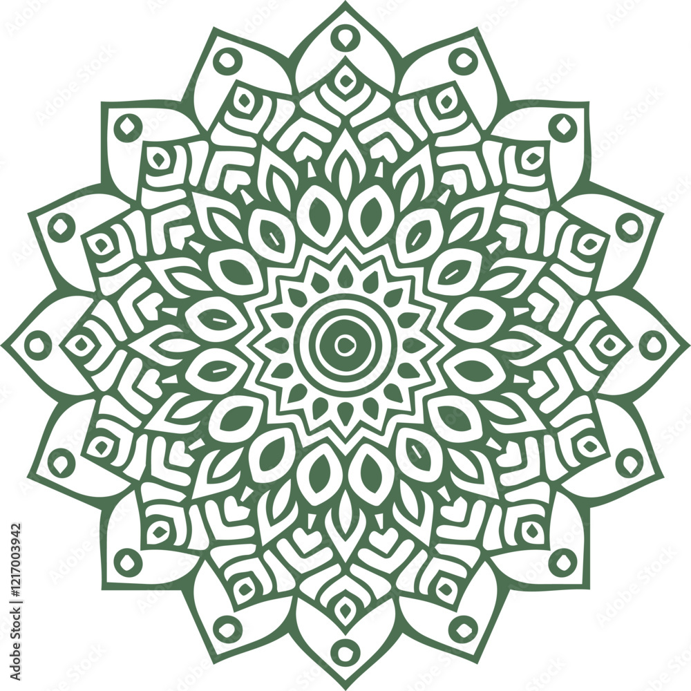 Fototapeta premium Beautiful flower art and mandala vector design