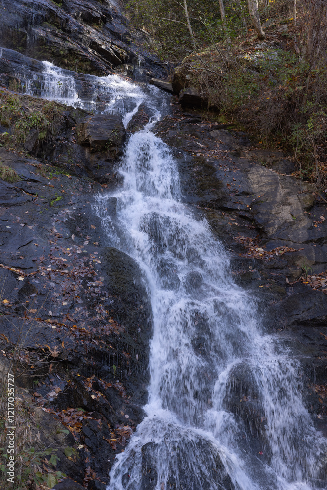 Naklejka premium North Georgia waterfall