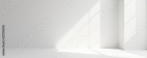 Clean, minimalist white and gray studio backdrop, style, image