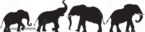 Silhouette SET of elephants vector illustration
