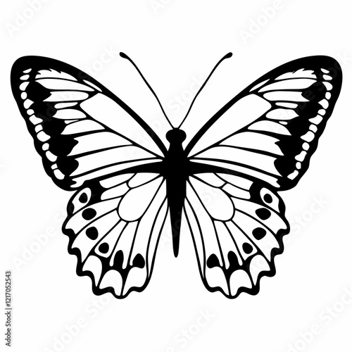 butterfly on white background