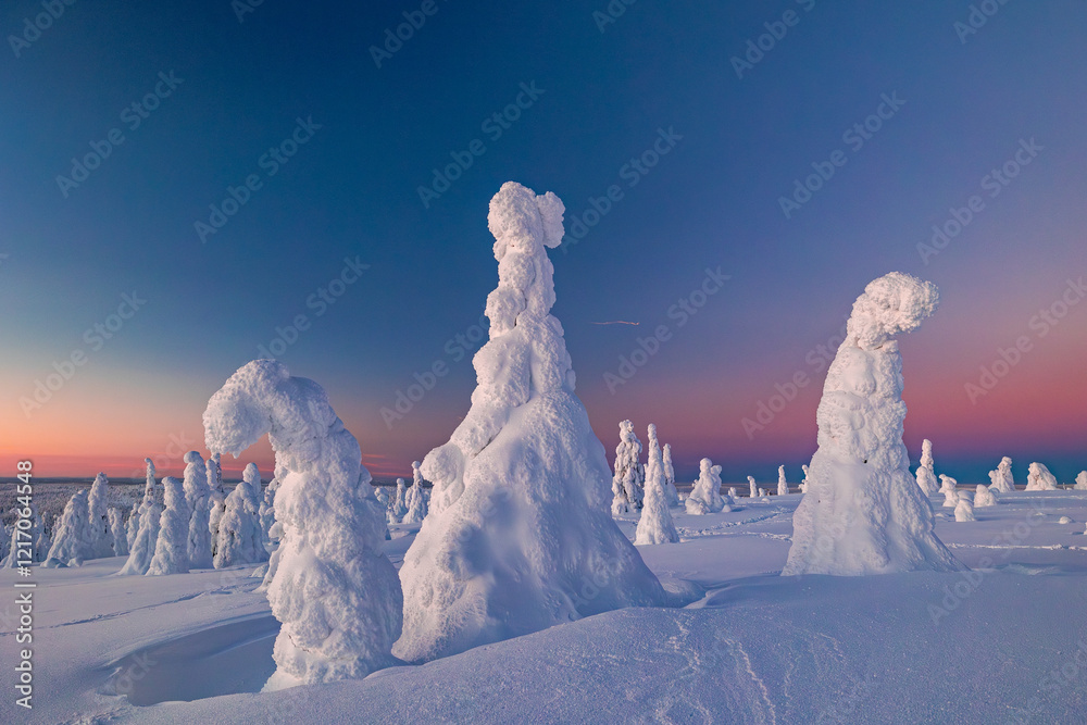 winter landscape with snow