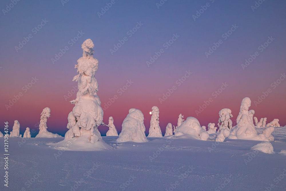 winter landscape with snow
