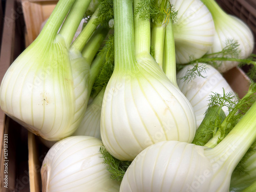 Fresh fennel bulbs in wooden crate with green stalks and leaves in a market display photo