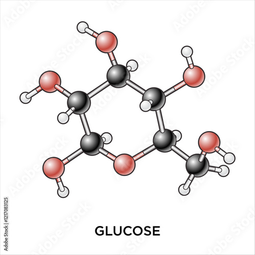 Glucose Ball and Stick Molecule