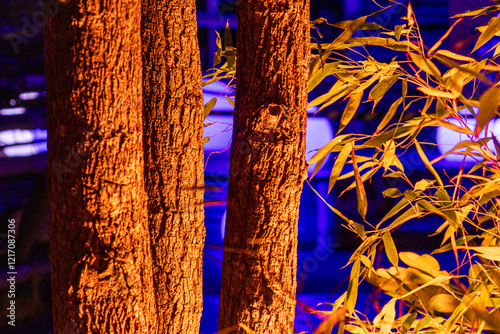 beleuchtete Baumstämme im Detail