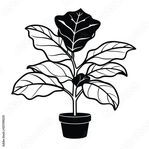 Indoor plant vector design with background