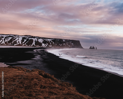 Reynisfjara black sand beach with Reynisdrangar sea stacks, South Iceland... photo