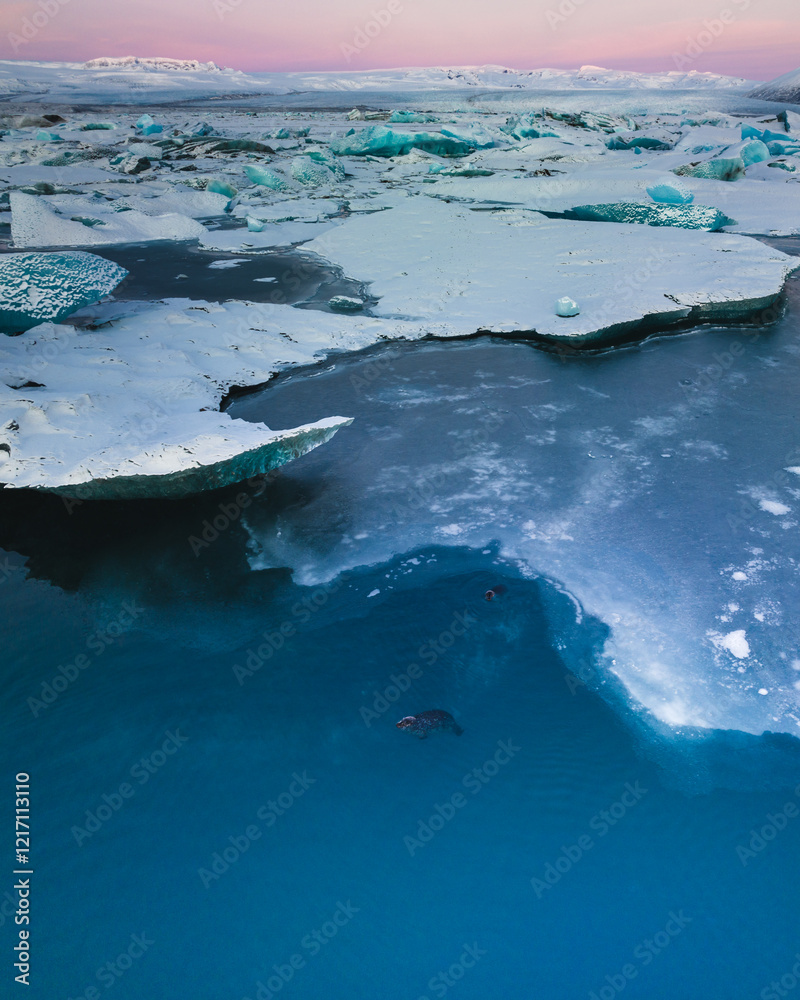 Φωτογραφία Aerial view of seals swimming amid icebergs in Jökulsárlón, South Iceland, at su