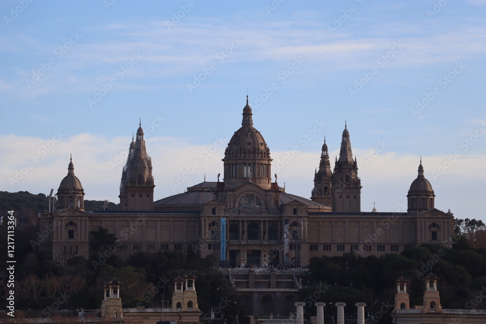 Fototapeta premium city parliament building