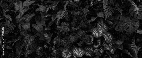 Textures of natural abstract black leaves for tropical leaf background, black...