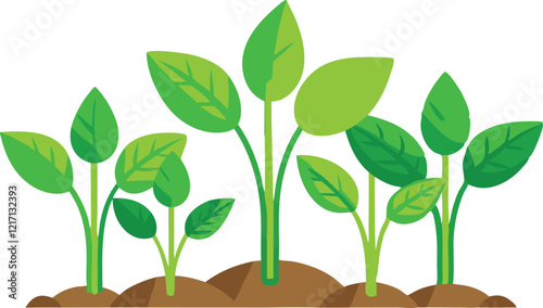 Young plants isolated on white background