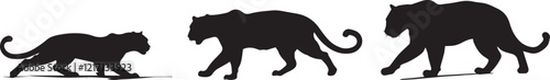 Silhouette of a jaguar stalking vector illustration