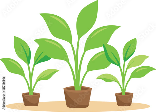 Young plants isolated on white background