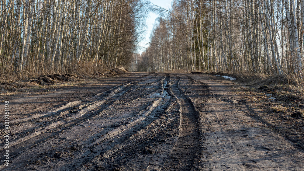 a muddy, wet road, mud texture, snow remnants, winter road a muddy, wet road, mud texture, snow remnants, winter road