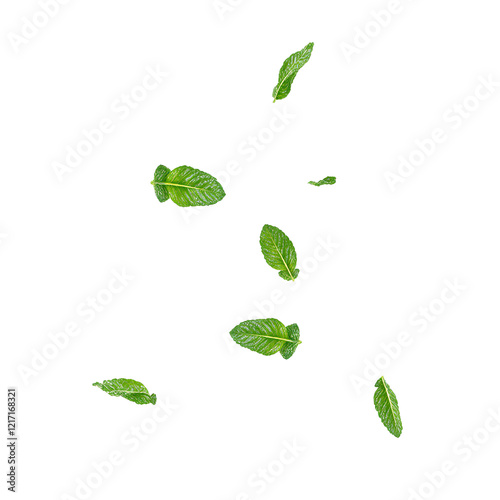 Fresh mint leaves falling against white background vibrant green color evoking freshness